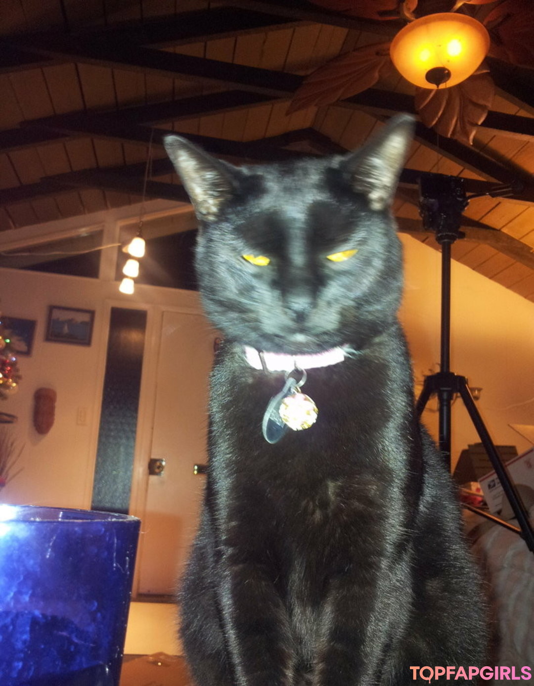 Nagie wyciekłe zdjęcie OnlyFans od Kateelife #193