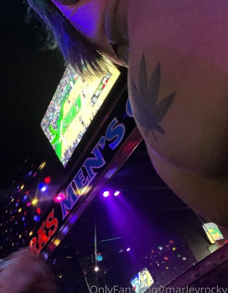 Marleyrocky