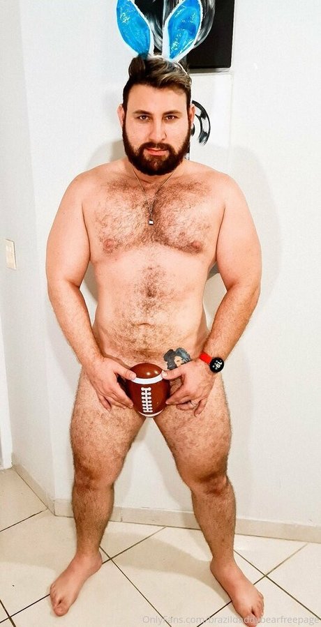 Brazildaddybearfreepage