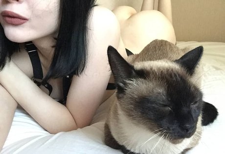 Nagie wyciekłe zdjęcie OnlyFans od Shadowshine5