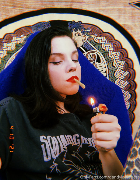 Dandyindistress