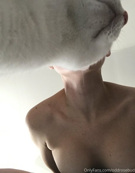 Miaxcosta