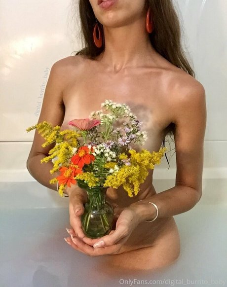 Digital_burrito_baby