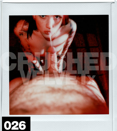 Crushedvelvetx