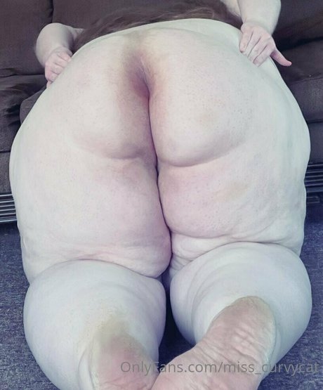 Miss_curvycat