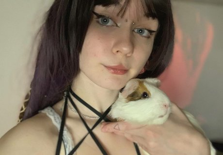 Fluffyfulafel