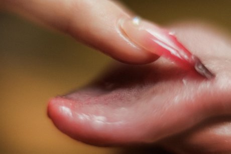 Nagie wyciekłe zdjęcie OnlyFans od Lolawoo