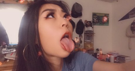 Toxicdaisies