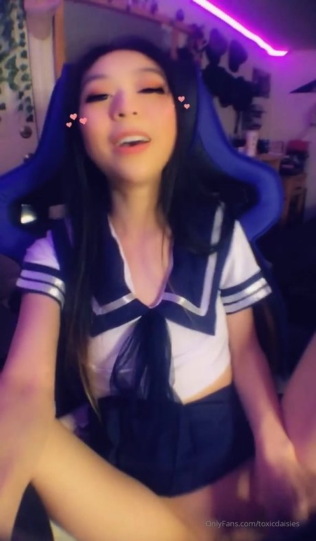Toxicdaisies