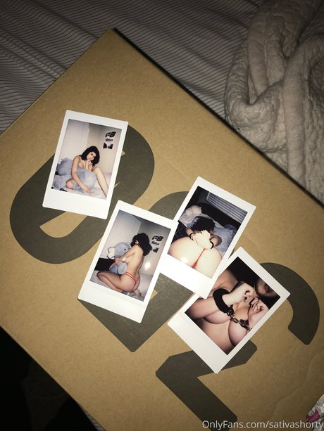 Sativashortie