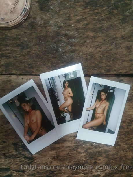 Playmate Esme