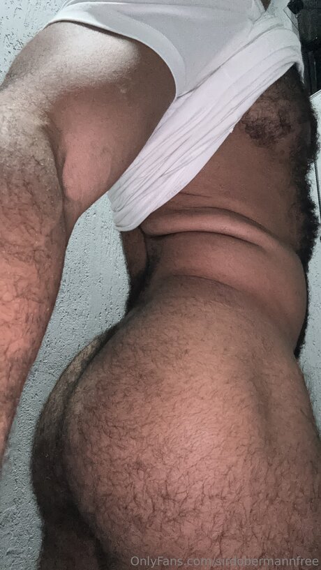 Nagie wyciekłe zdjęcie OnlyFans od Sirdobermannfree