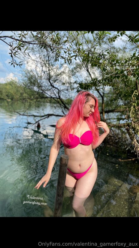 Valentina Gamerfoxy Aux