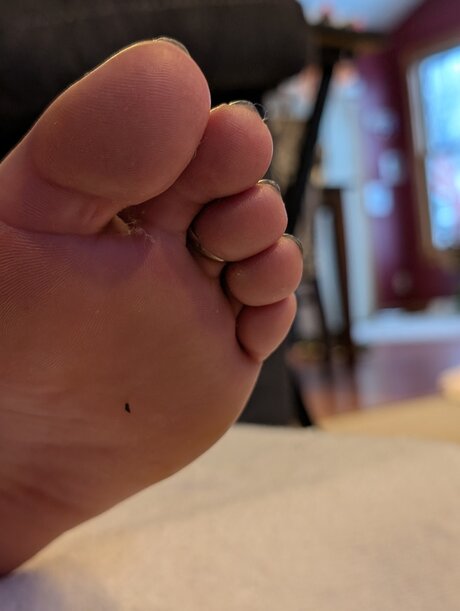 Barefoot Bunny B