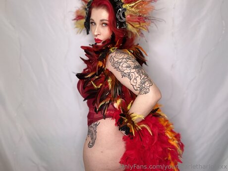 Yourscarletharlotxxx