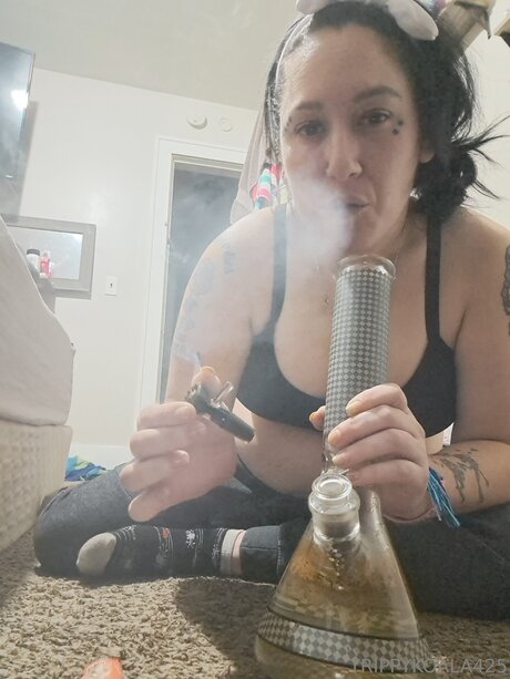 Trippykoala425
