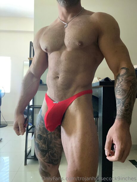 Trojanhorsecock9inches