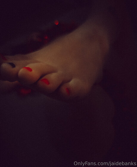 Jaidebanks