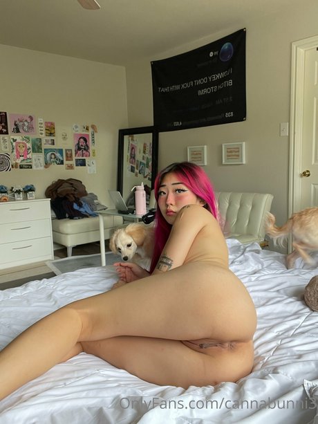 Nagie wyciekłe zdjęcie OnlyFans od Cannabunni3