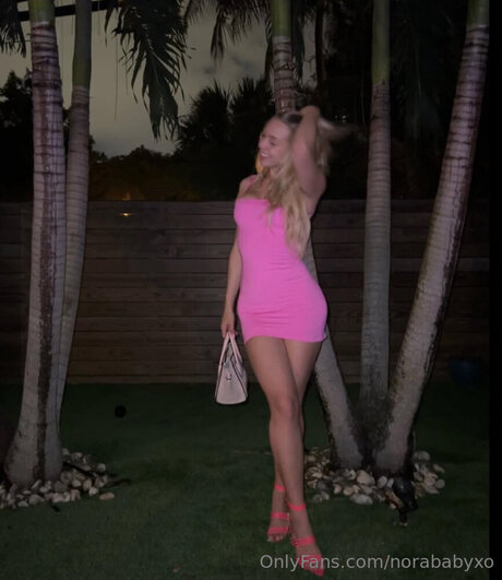 Norababyxo