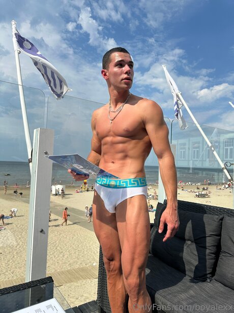 Boyalexx