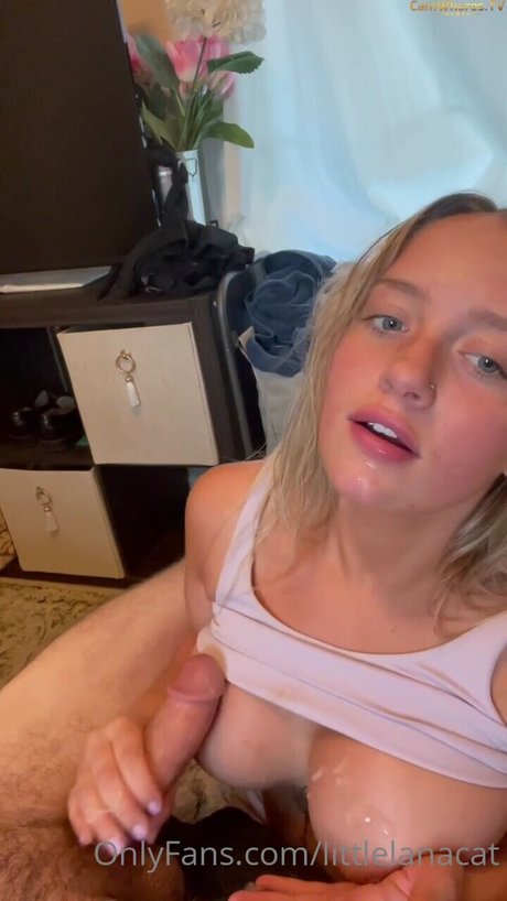 Littlelanacat