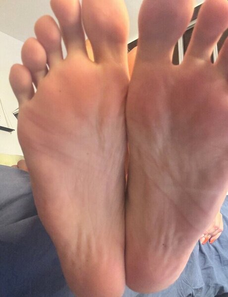 Lickandysoles
