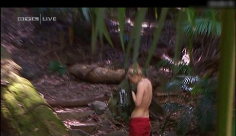 Ich bin ein Star – Holt mich hier raus!