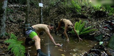 Ich Bin Ein Star  Holt Mich Hier Raus