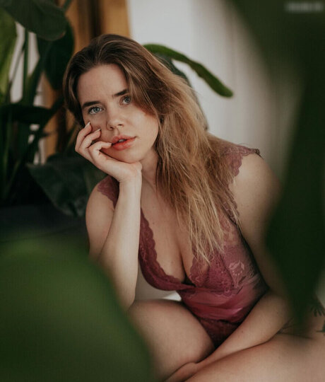 Hollaura
