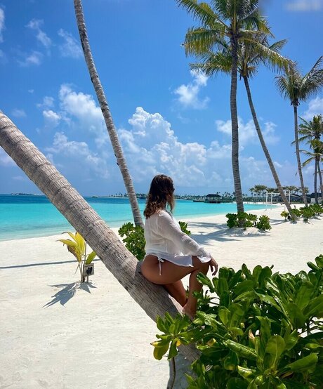 Lexi_Si / ziehl_abegg