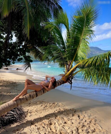 Lexi_Si / ziehl_abegg