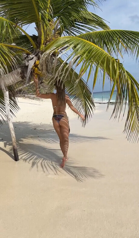 Sylvie Meis