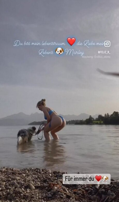 Feliz R. Nicole