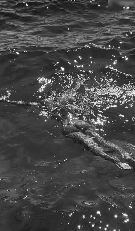 Anna Maria Schimanski