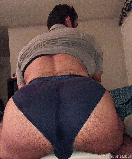 Briefsbull