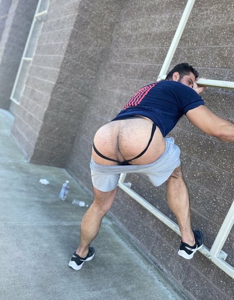Briefsbull