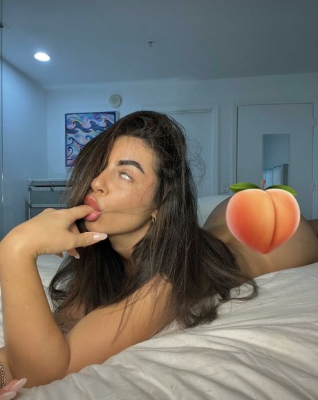 Nikkidoyon