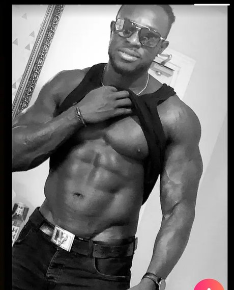 Mr Ml