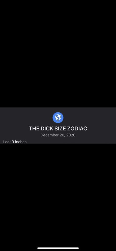 9inch Flaco