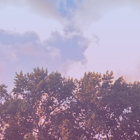 Nagie wyciekłe zdjęcie OnlyFans od Quietlysmoking 