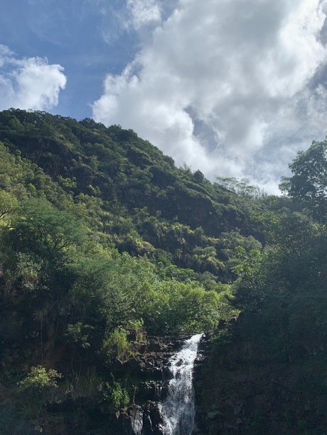 Nagie wyciekłe zdjęcie OnlyFans od Beau Rose