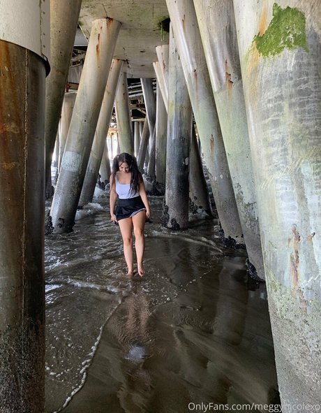Nagie wyciekłe zdjęcie OnlyFans od Megan Nicole