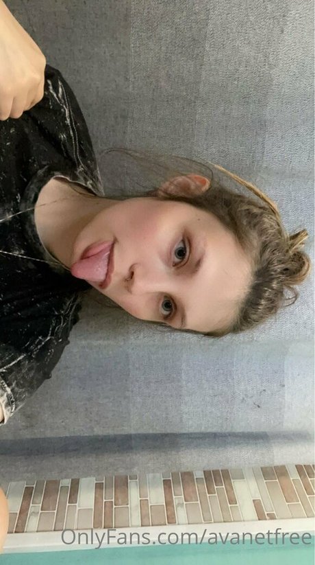Avanetfree
