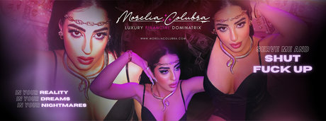 Morelia Colubra
