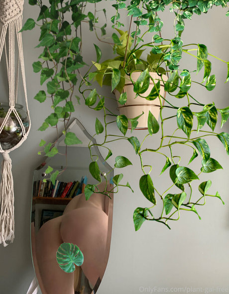 Nagie wyciekłe zdjęcie OnlyFans od Plantgalfree
