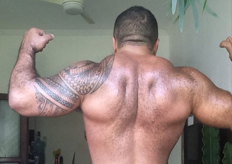 Musclebearbrazil