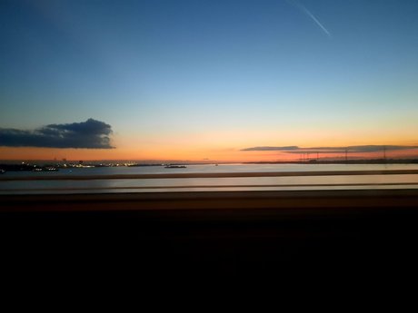 Bloemfeet