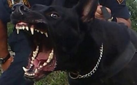 Nagie wyciekłe zdjęcie OnlyFans od Ace