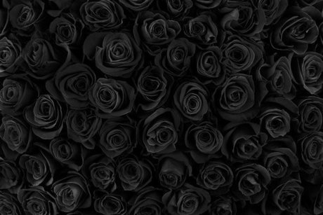 Nagie wyciekłe zdjęcie OnlyFans od Lilian Rose